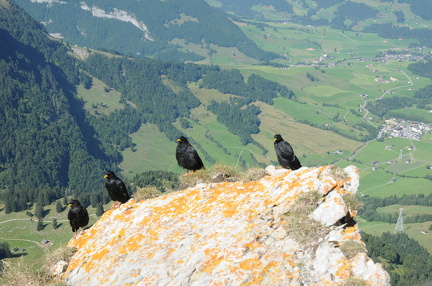 Jodlerreise 29. und 30.08.2015 126