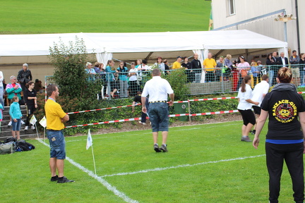 IMG 5203